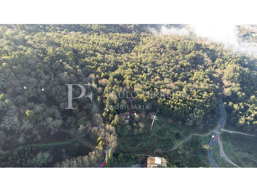 Quinta na Encosta da Penha - Grande imagem: 4/36