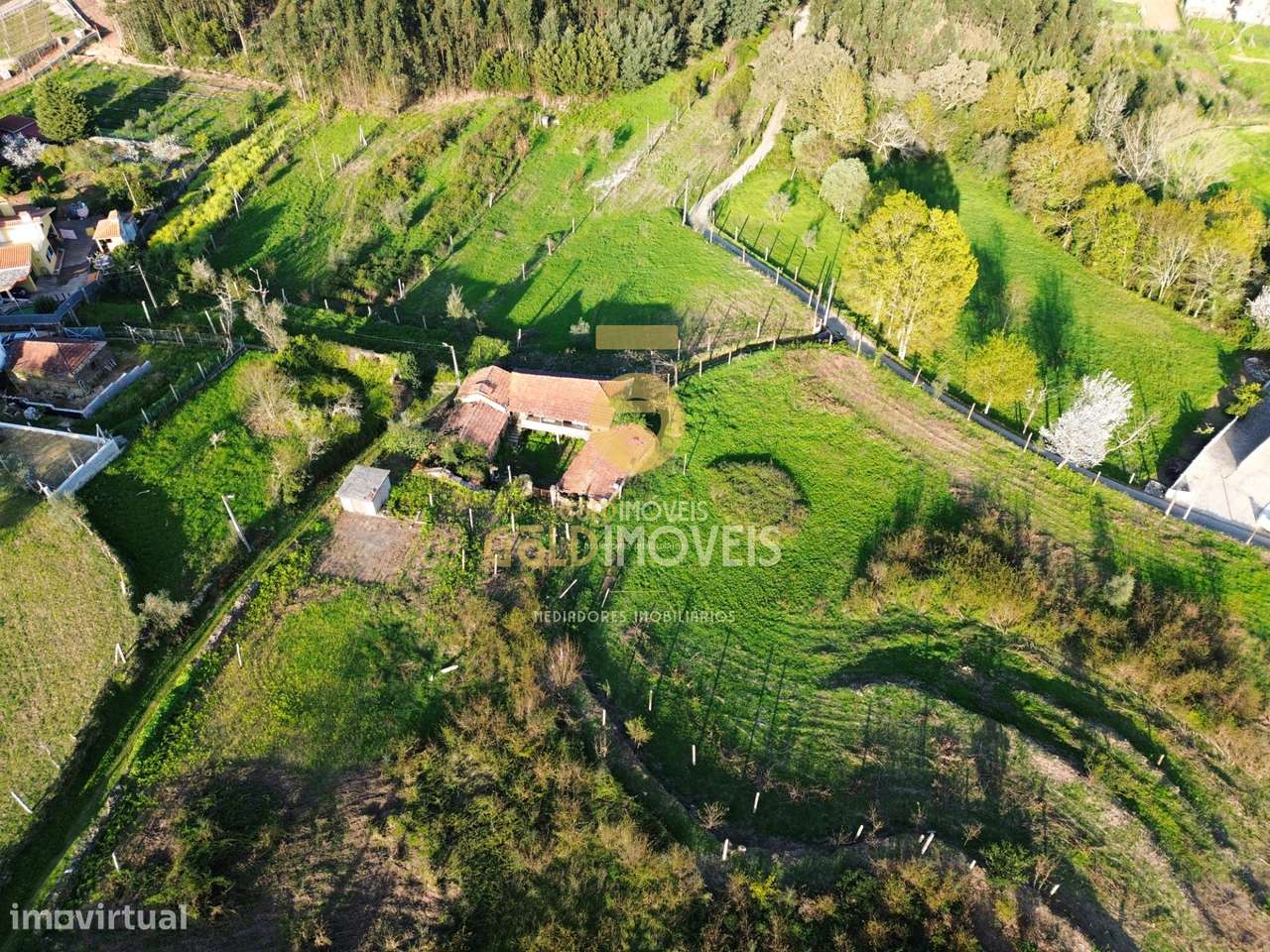 Quintinha T3 Venda em Santa Maria de Sardoura,Castelo de Paiva-33