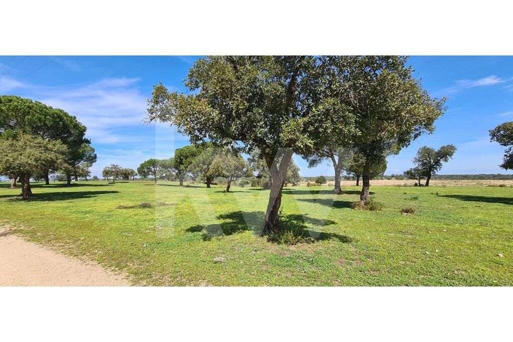 HERDADE COM 190 HA EM BENAVENTE, DISTRITO DE SANTARÉM - Grande imagem: 4/26