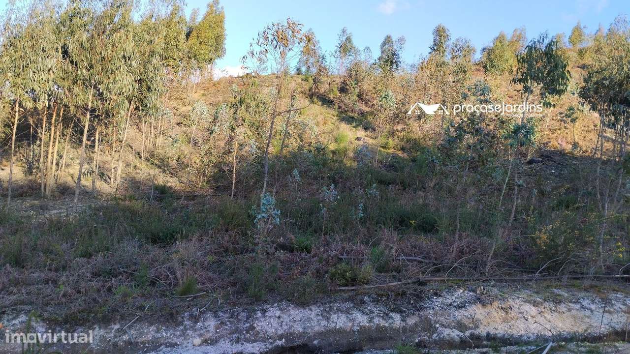 Terreno rustico - Grande imagem: 4/9