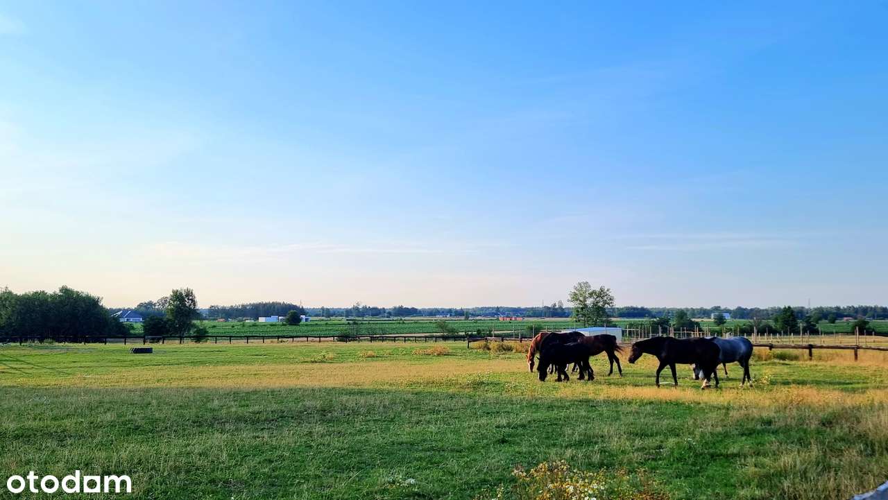 Na sprzedaż działki budowalne z WZ Andrespol Bedoń Brzeziny Koluszki-8