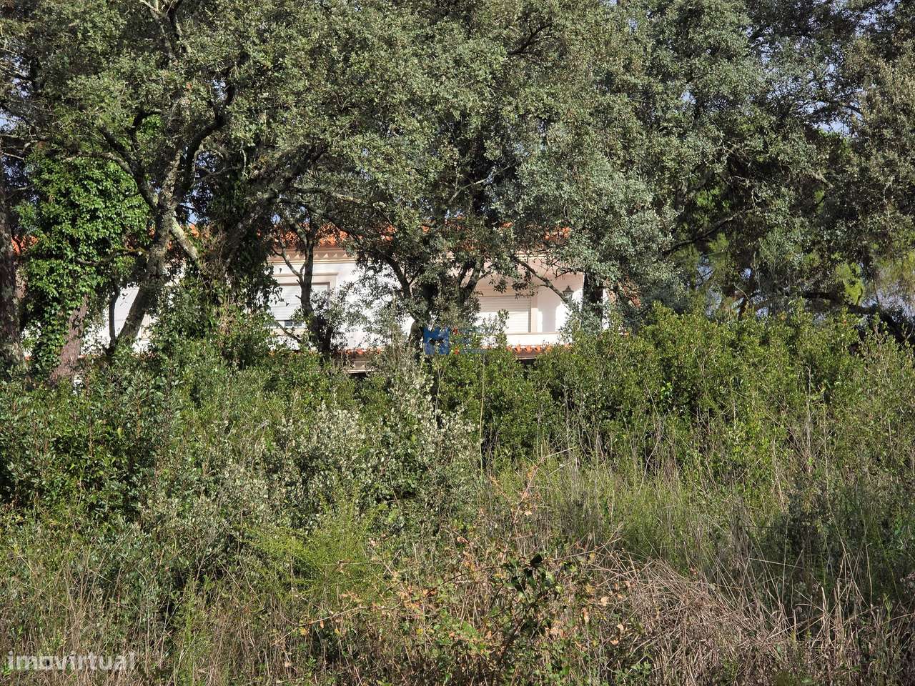 Lotes de terreno em Minde-11