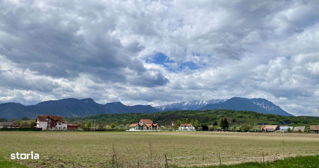 Teren plat P +4 Bran, panoramic munti, DN73, toate utilitatile-12