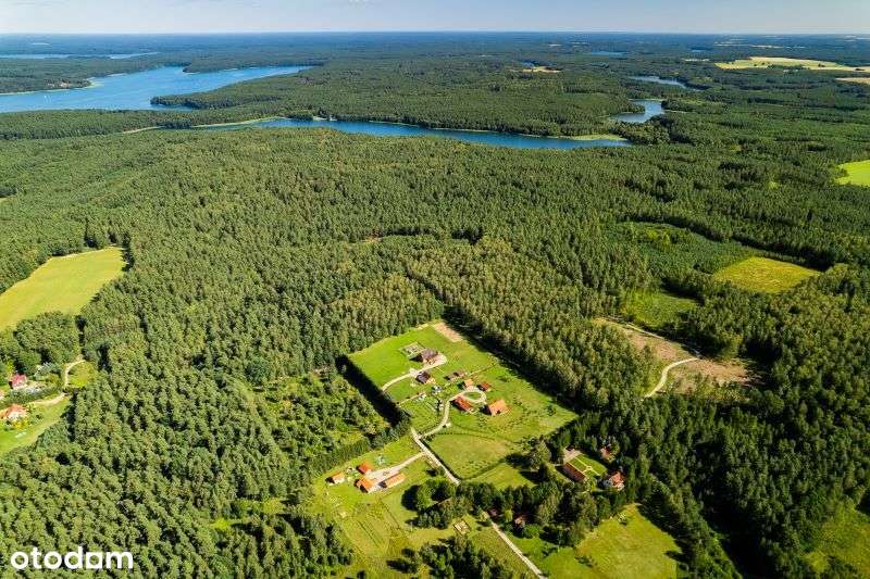 Działki rolno budowlane - jez. Pluszne, Mierki, z warunkami zabudowy - Pełny obrazek: 5/11