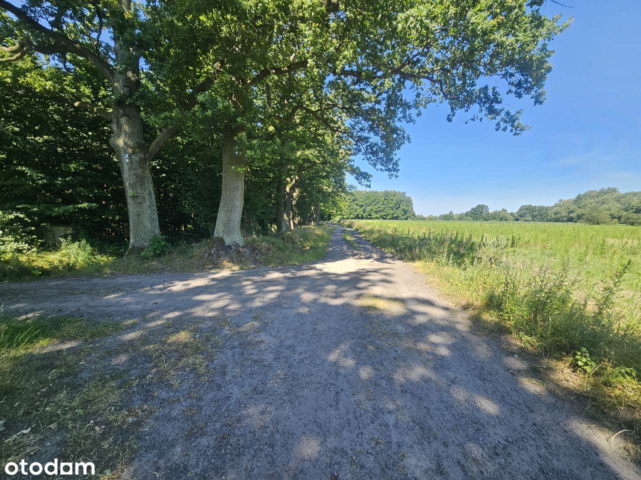 POLECAMY do sprzedaży działka budowlana w Chwałowicach-3