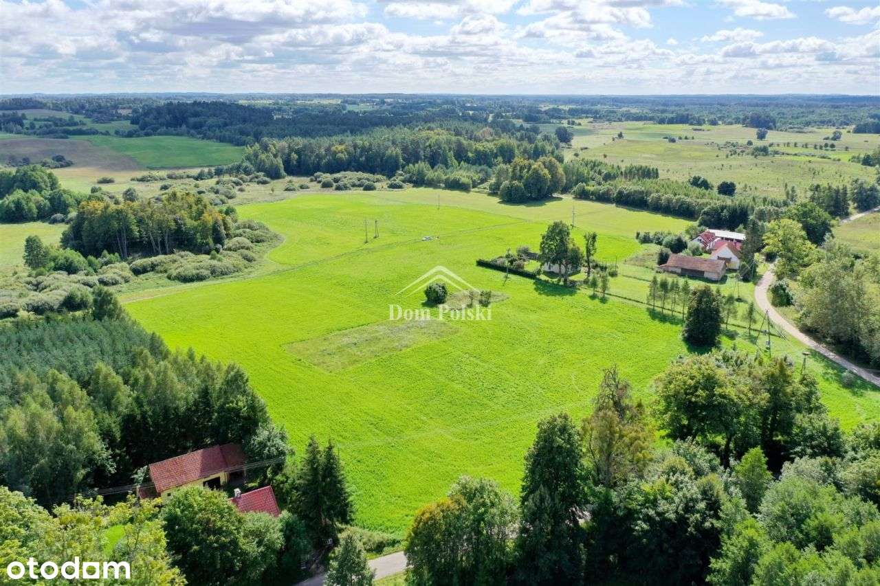 Działek budowlane, Puszcza Borecka - Rogojny - Pełny obrazek: 5/12