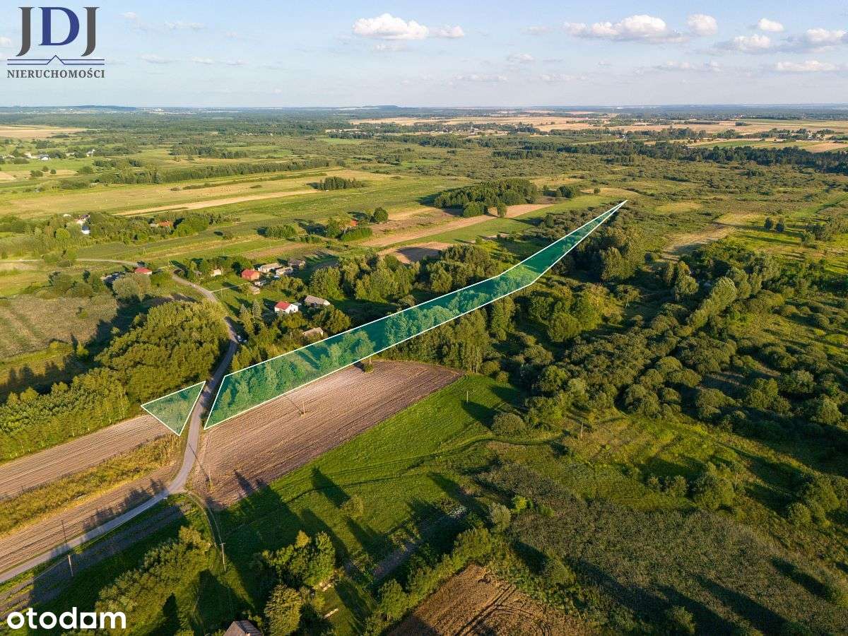 Działka.1.64 ha.Chojno Nowe Pierwsze.Lubelskie - Pełny obrazek: 4/6