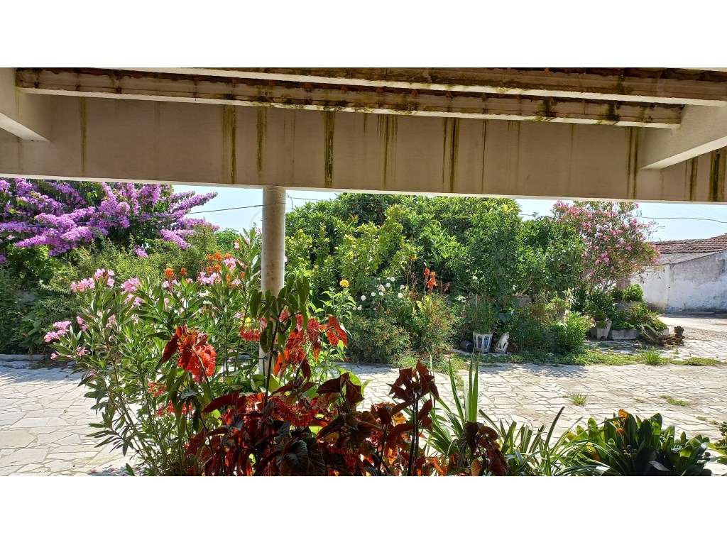 Herdade vinhateira próxima de Setúbal-18