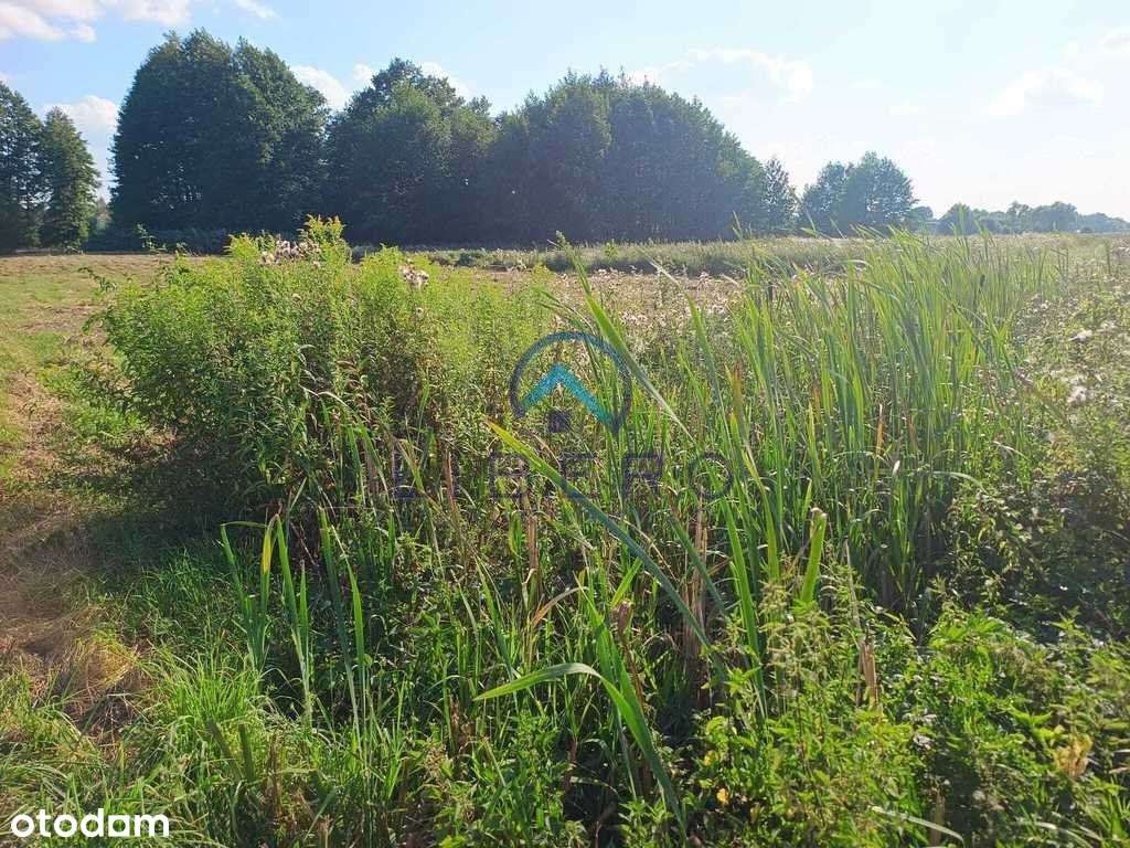 Uroczysko pod zabudowę, rzeka, 35 km od Warszawy-5