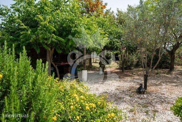 Quinta  com piscina, área 5375m2-30