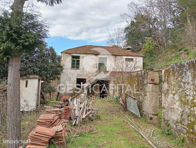 Oportunidade Única: Quinta para Habitação, Turismo ou Agricultura em M-19