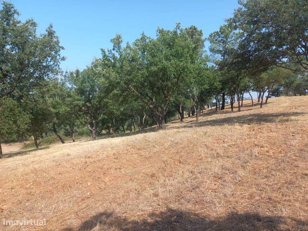 Terreno  para venda - Grande imagem: 3/13