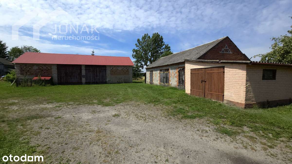 Gospodarstwo z domem parterowym na działce 3374 m² - Pełny obrazek: 5/17