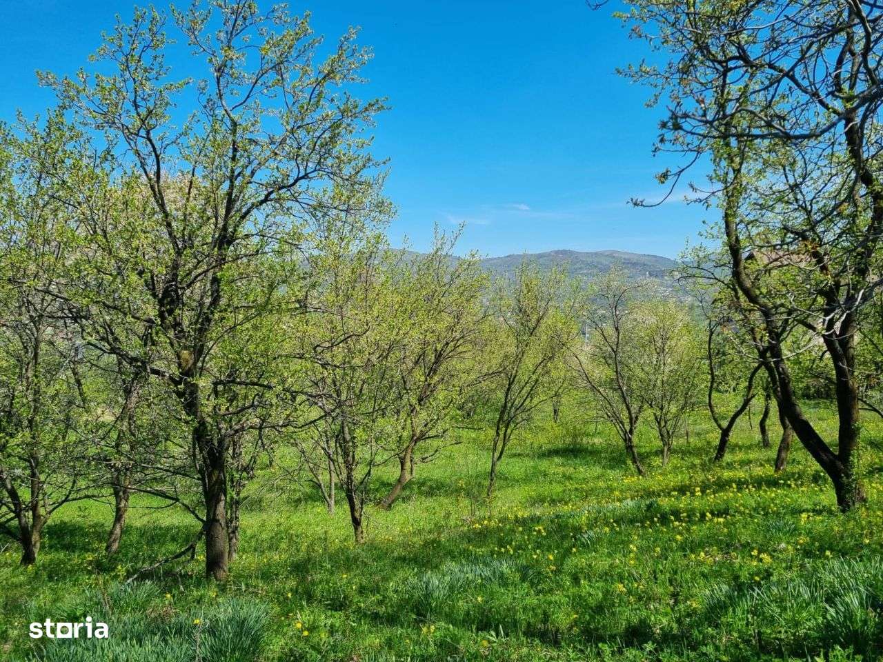 Teren intravilan Comarnic Ghiosesti-aproape moon village - Imagine principală: 2/10