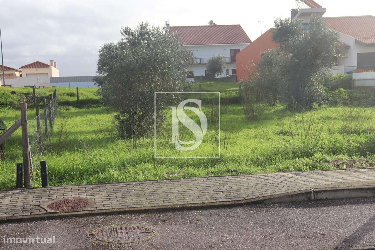 Terreno  Venda em Montalvo,Constância - Grande imagem: 4/7