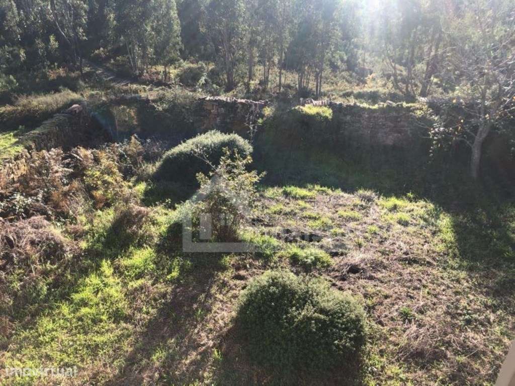 Casa de Campo em Pedrógão Grande-7