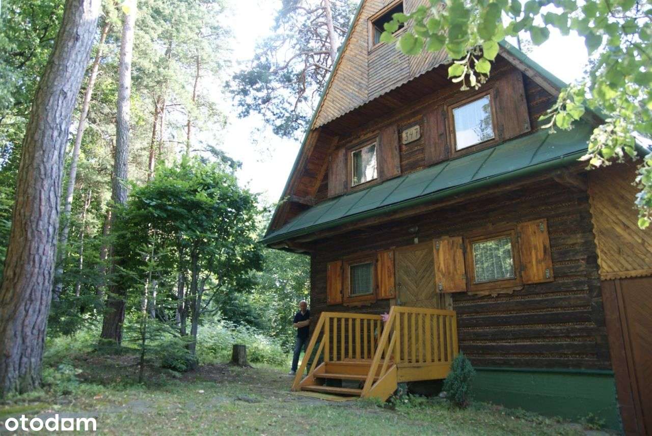 Wiśniowa dom letniskowy w górach, las,strumyk, 53a-2