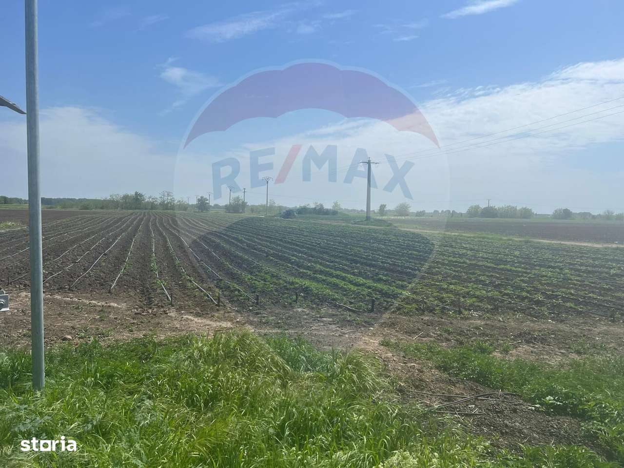 Teren intravilan/extravilan Jorasti / Strada Forturi ( principala) - Imagine principală: 3/5