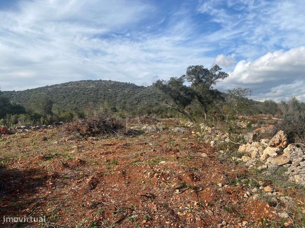 Lote de terreno rústico situado em zona muito tranquila, Boliqueime... - Grande imagem: 4/16