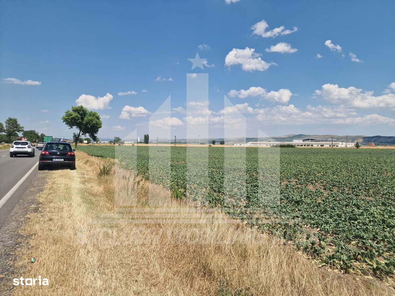 Teren agricol la sosea, pretabil si ptr constructii industriale - Imagine principală: 2/9