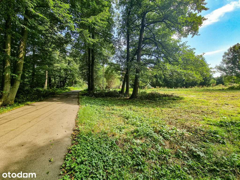 Zaciszna działka w Starym Wielisławiu-10
