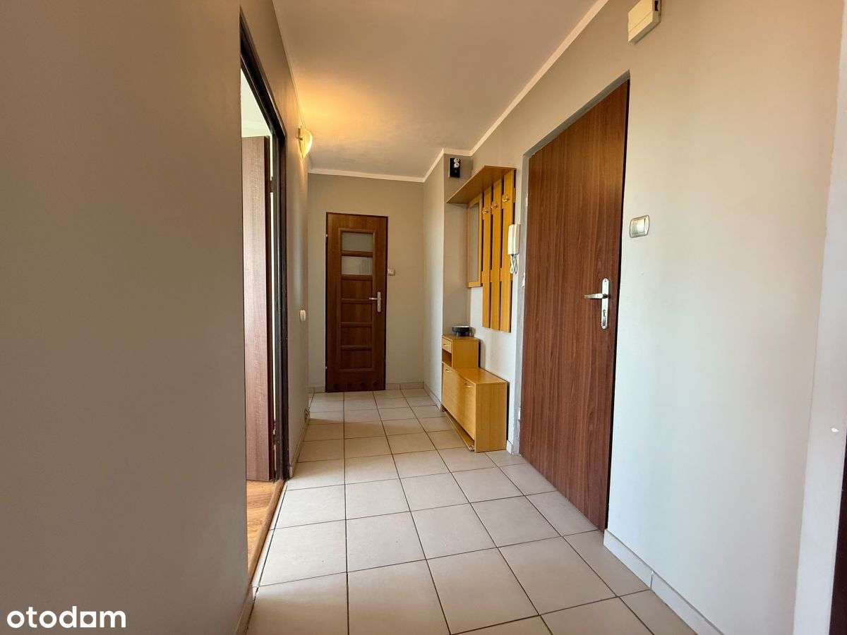 Piękny widok na panoramę, układ niezależny,-6