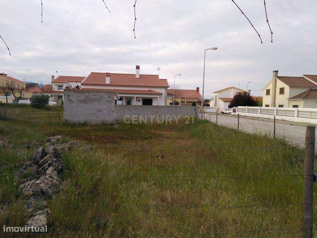 Terreno Urbano p/construção, Lardosa - Grande imagem: 4/4