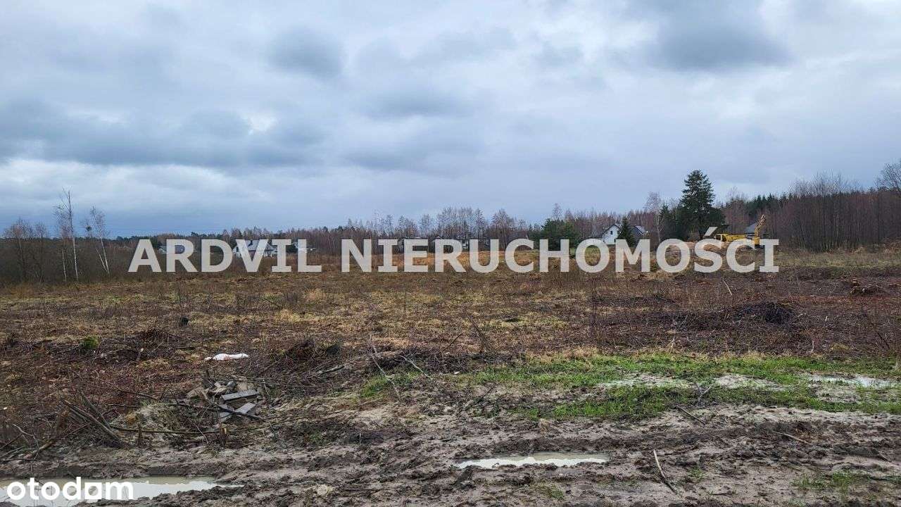 Uzbrojona Grabówka ładna-4