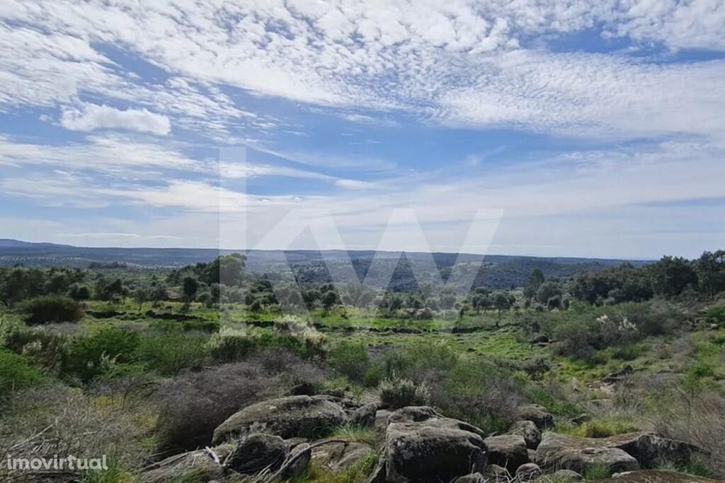 Terreno e Cabana na Zona Sul do Lagar Maria Martins Aldeia de Monsanto