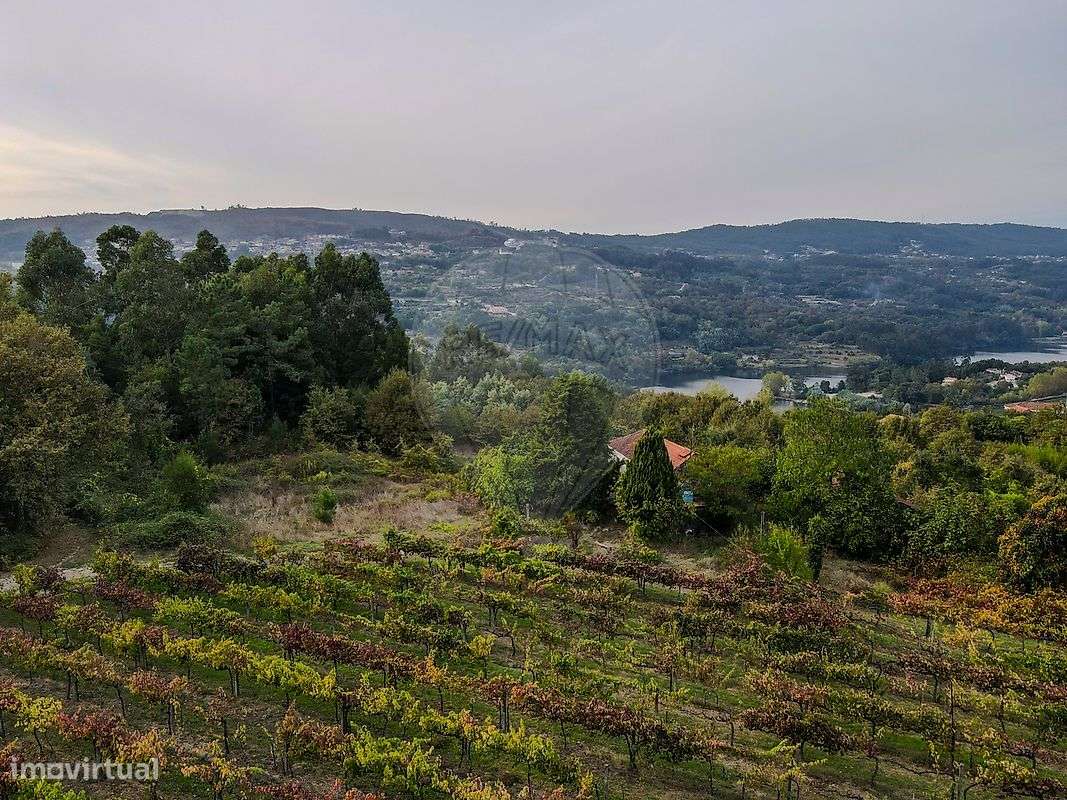 Quinta  para venda - Grande imagem: 4/17