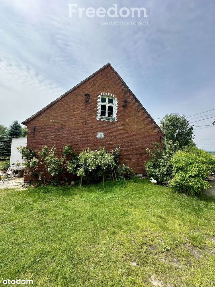 Dom z dużą działką i budynkami gospodarczymi - Pełny obrazek: 4/10