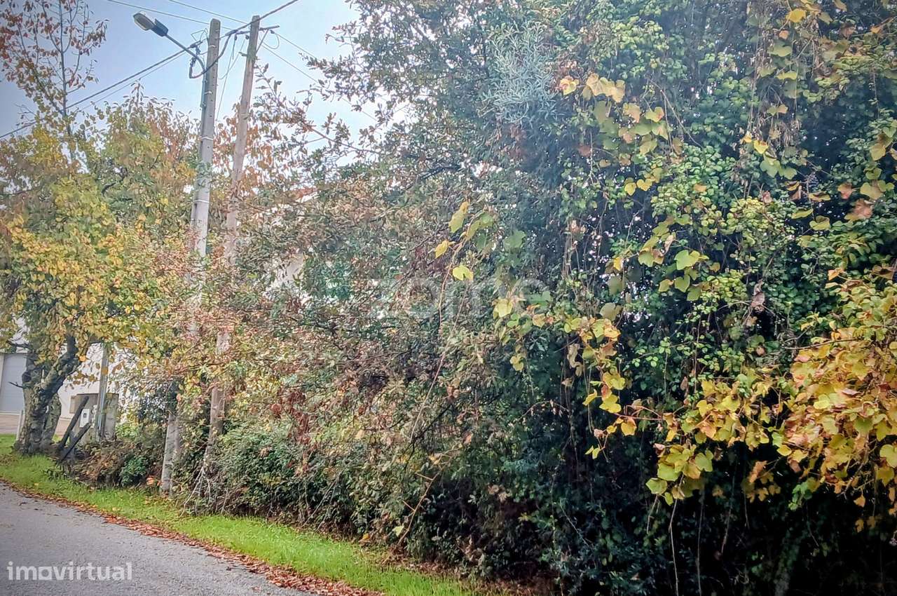 Terreno em Abraveses, Viseu - Grande imagem: 3/17