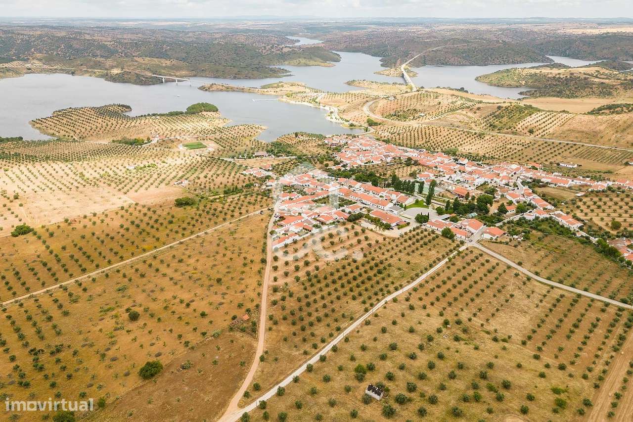 Terreno de 16019 c/ viabilidade de construção para 17 lotes | Amieira - Grande imagem: 5/22