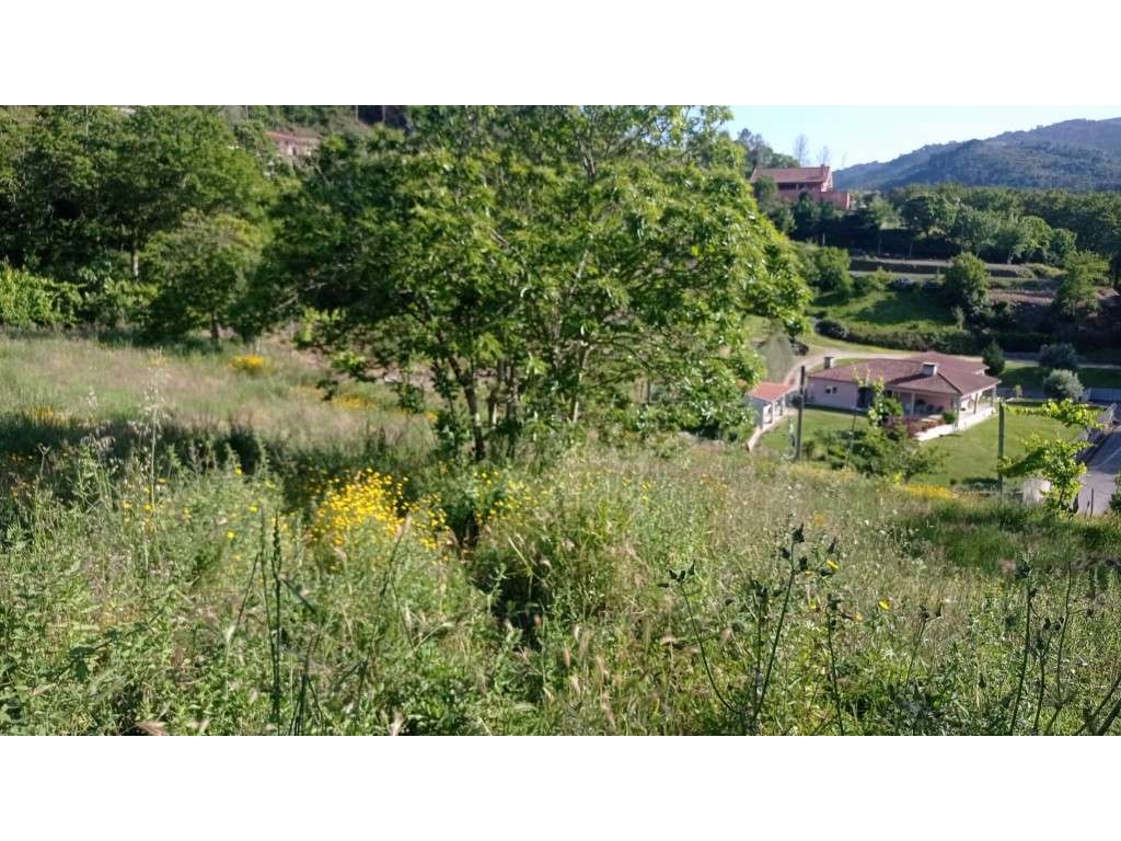 terreno - Grande imagem: 2/4