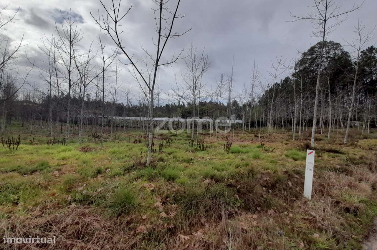 Terreno para construção com 5400m2 - Grande imagem: 4/18