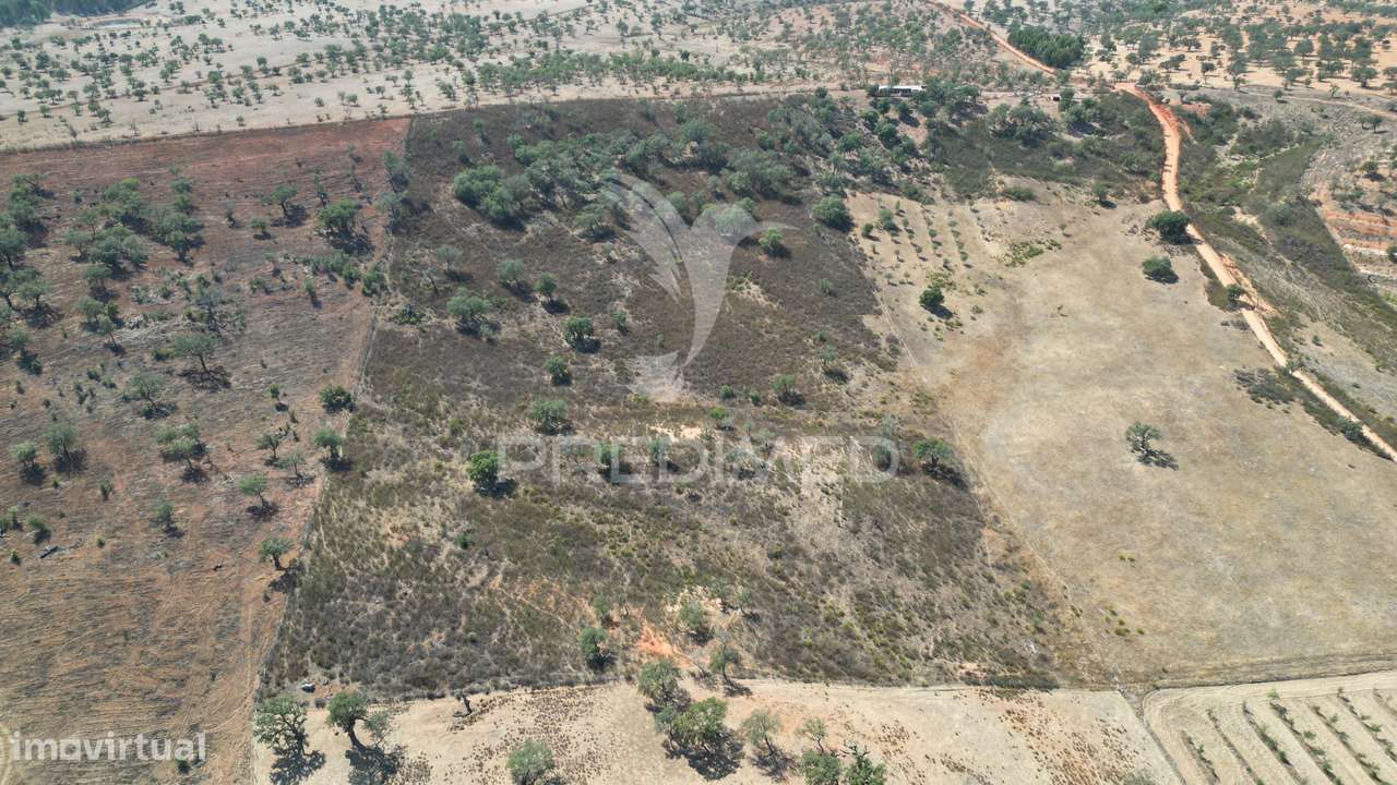 Terreno rústico com 5,2500 ha em Chada velha, Ourique - Grande imagem: 5/11