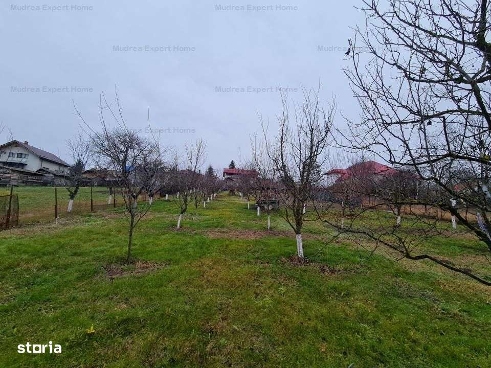 Nou | Casa la Lacul Snagov / Teren 2600 mp / Zona Snagov-Tancabes - Imagine principală: 5/13