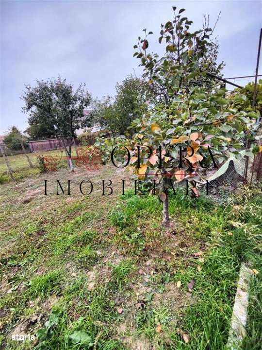 Teren cu casa, de vanzare, zona Piata Pacurari - Imagine principală: 1/2