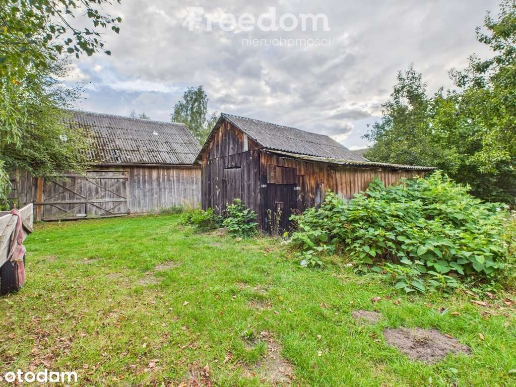 Siedlisko na pięknej działce - Pełny obrazek: 4/12