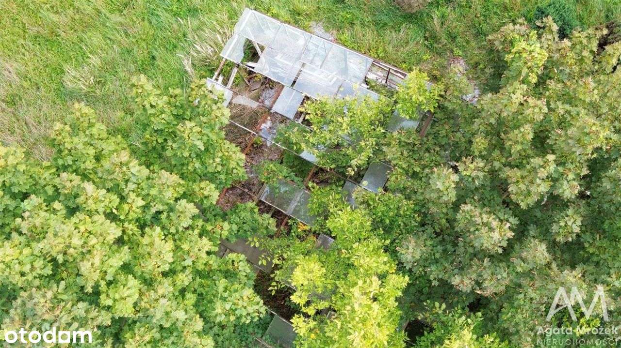 Duża działka,dom do remontu lub rozbiórki - Pełny obrazek: 5/14