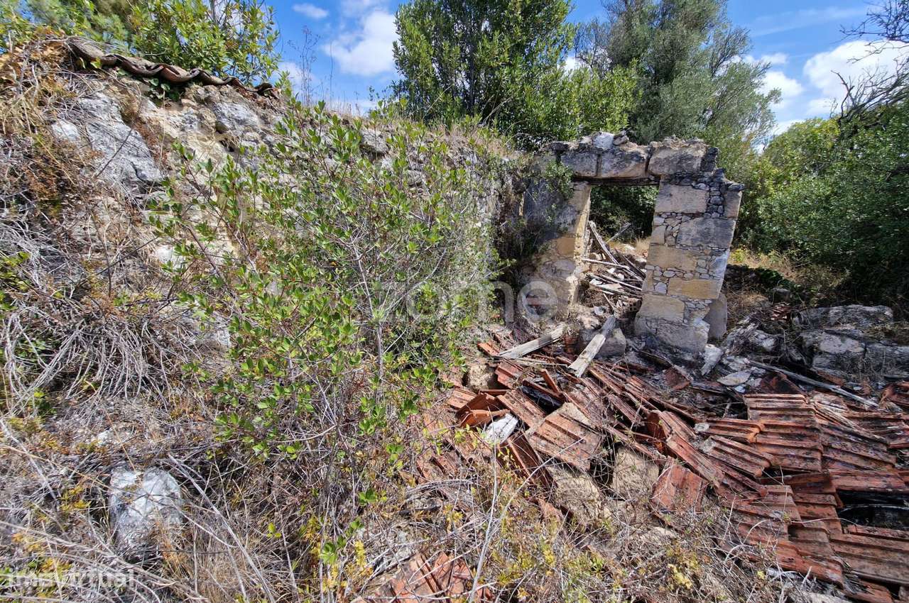 Ruina com terreno 11.878m2 vale da Talha Carvalhal Santarém - Grande imagem: 5/17