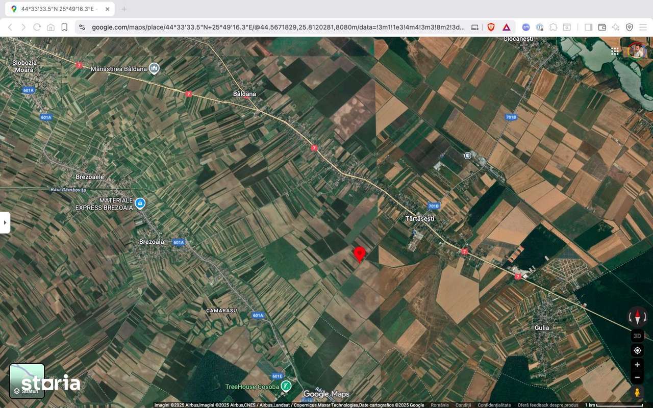 Teren extravilan 10.000 mp Tartasesti Dambovita - Imagine principală: 4/5