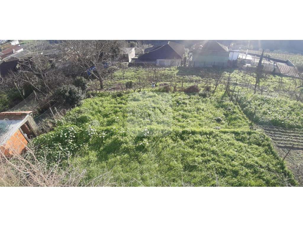 Moradia T3 Geminada Implantada em Terreno de 588 m2 em Bujões, Vila... - Grande imagem: 4/13