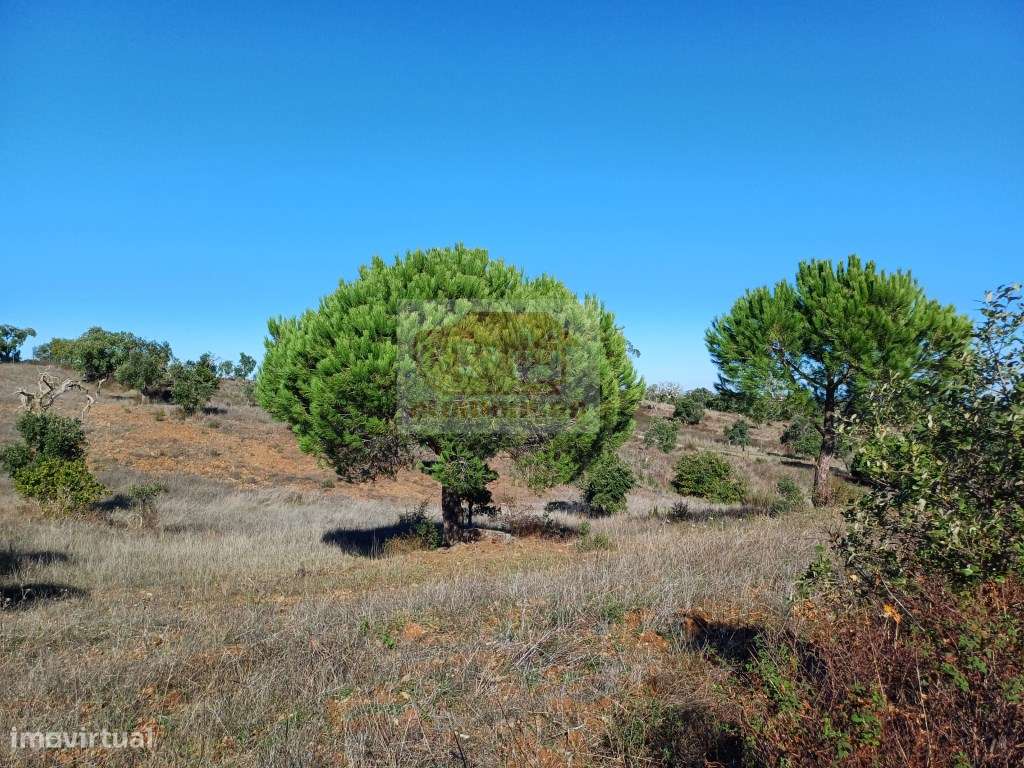 PROJECTO APROVADO para Empreendimento Turístico - propriedade com 4...-9