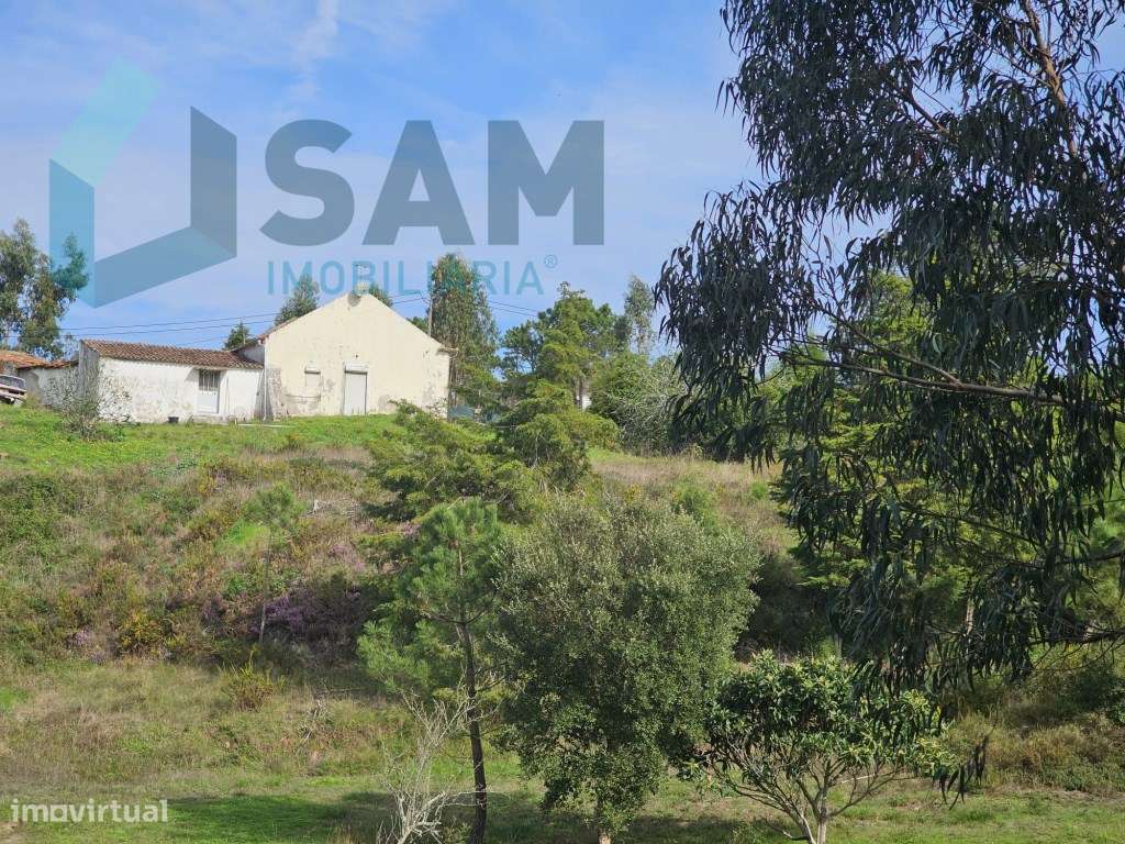 Terreno de 12.105 m2 com moradia Torres Vedras-36