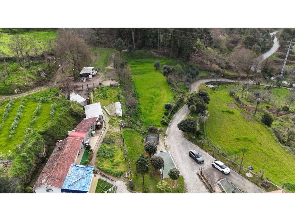 Quinta com 20.000 m² para Venda - Penacova-19