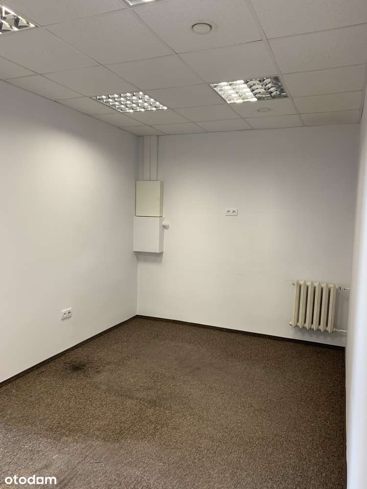 Lokal na wynajem 150 m² z parkingiem - Pełny obrazek: 5/14