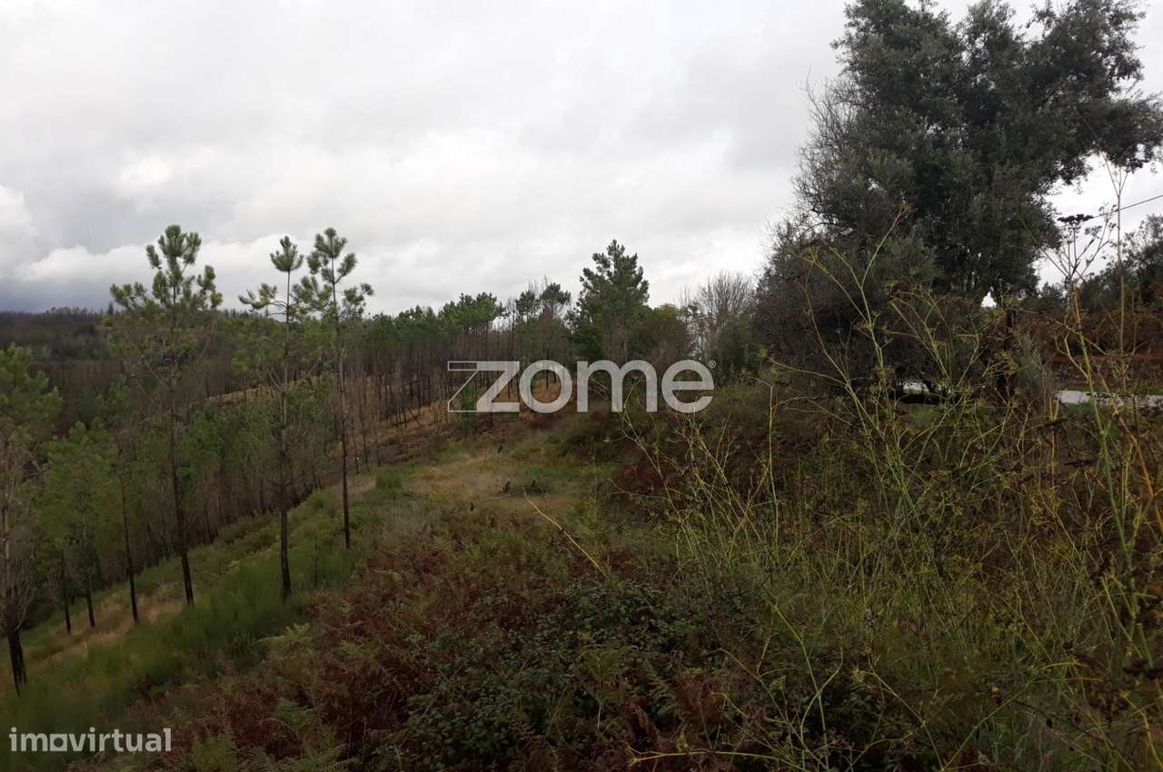 terreno urbano coja arganil - Grande imagem: 4/20