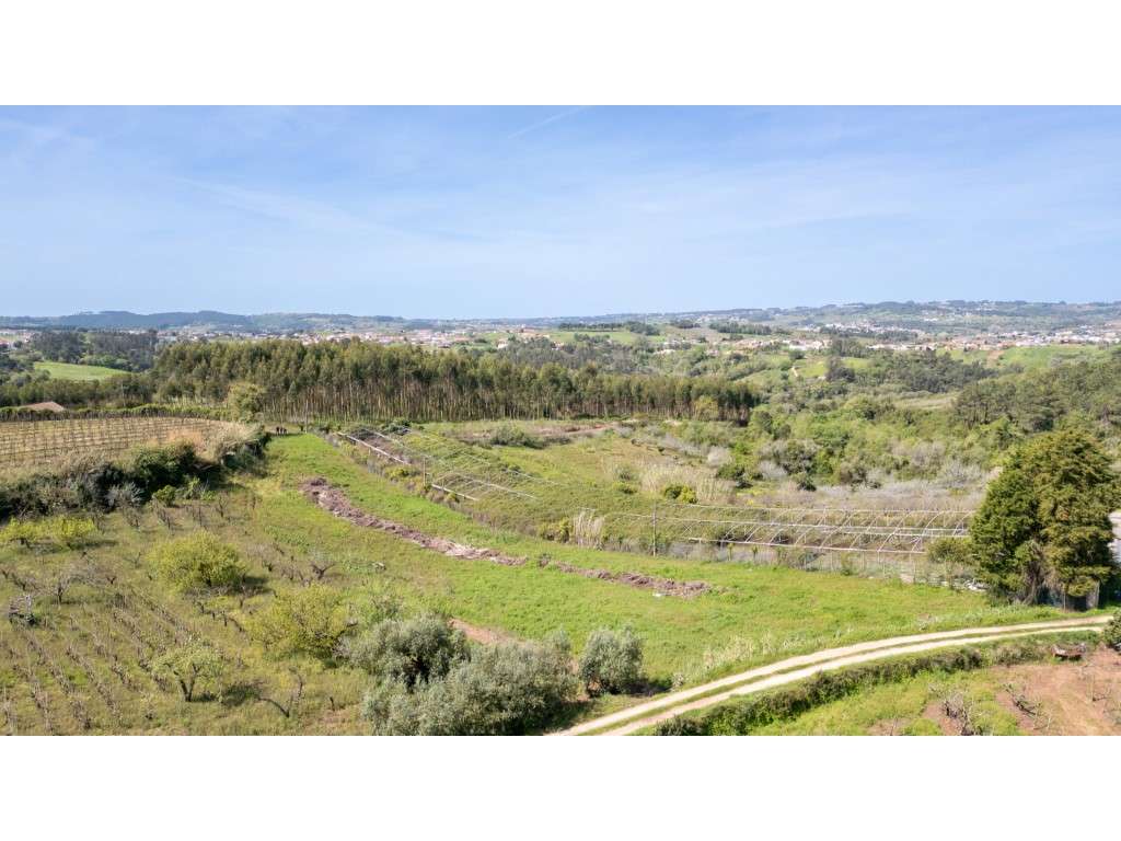Terreno Rustico em Évora de Alcobaça - Grande imagem: 4/11
