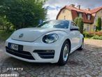 Volkswagen Beetle - 5